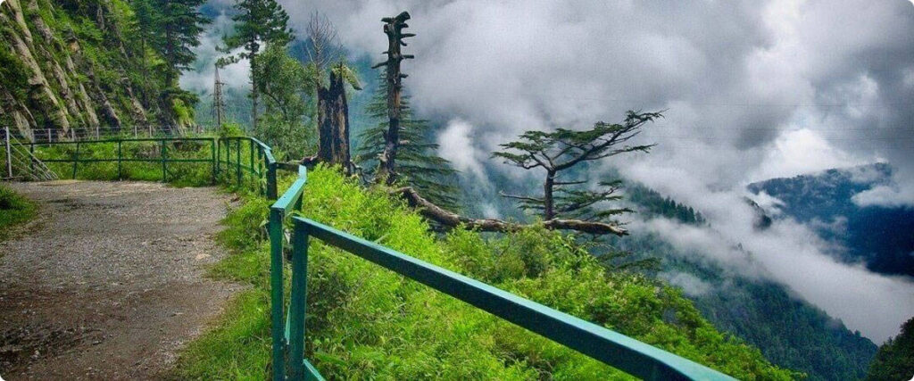 Explore the complete Murree Travel Guide 2026 featuring the best hotels, delicious local food, top tourist attractions, and travel tips for families and tourists.