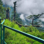 Explore the complete Murree Travel Guide 2026 featuring the best hotels, delicious local food, top tourist attractions, and travel tips for families and tourists.